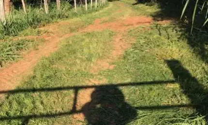 Chácara à venda em Itobi-SP, Zona Rural: 1 quarto, 1 banheiro, 0,01 m² de área!