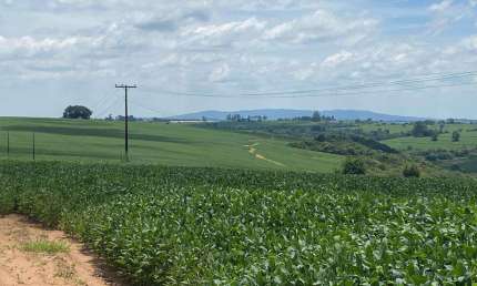 Fazenda à venda em Itapetininga-SP: 2 quartos, 1 sala, 1 banheiro e 3.484.800,00 m² de área!