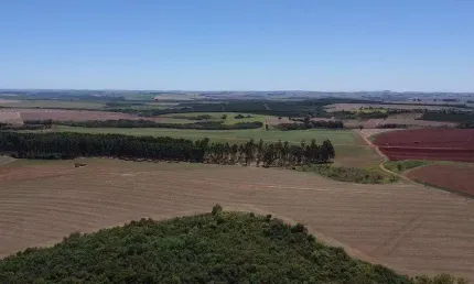 Fazenda à venda em Itaí-SP, na Área Rural, com 1 quarto, 1 banheiro e 1.379.400,00 m² de área. Venha conferir!