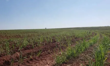 Fazenda à venda em Nova Granada-SP, Zona Rural: 1 quarto, 1 banheiro, 1.718.200,00 m² de área. Venha conferir!