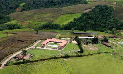 Fazenda 50 Alqueires,  Formada em Lavoura e Pasto, - 31 Alqueires em Plantio, - Topografia Ondulada e Declive para Água, Terra Mista de Cultura,