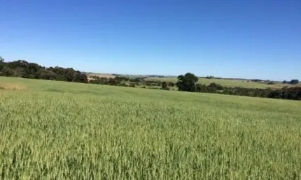 Oportunidade única: Sitio à venda em Itapetininga-SP, bairro Área Rural, 1 quarto, 1 banheiro, 895.400,00 m² de área!