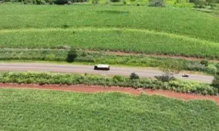 Fazenda de cana 200 alqueires ou 484 hectares   121,90 alqueires ou 295 hectares em cana   arrendamento grupo raízen  válido até 2024/2025  50 tonelad