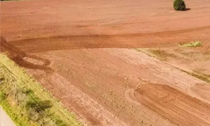 Sitio 42 Alqueires  35 Alqueires em Plantio  Topografia Plana e Semi Plana  Terra Mista a Argilosa   Represa Pequena e Ribeirão nos Fundos   Boa Logís