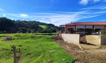 Sitio 31 Alqueires  Formado em Pasto para Gado de Leite 2 casas empregado 1 casa escritório Tronco com balança Ordenhadeira com 4 Conjuntos de Ordenha
