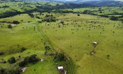 Fazenda - 445 alqueires goiano - 30 km de itapaci - 15 km do asfalto - 05 casas boas - 01 casa média - 03 curral ferro galvanizado - 01 curral aroeira