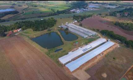 Sitio c/ Granja 8 Alqueires, 6 barracões Modernos sendo 2 Barracões Novo, Granjas Automáticas, 220 mil frangos, Energia Solar e Gerador, Boa de Água