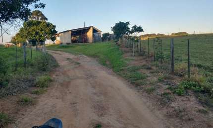 Fazenda 99 Alqueires  Formada em Lavoura e Pecuária  Terra Vermelha a Mista   Topografia Plana a levemente Ondulada  Rica em Água, Margeia o Rio   Ben