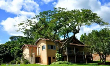 Fazenda 64 Alqueires Casa Sede 200m2 3 Dorms 1 Suíte, Açudes, Vegetação, Eucaliptos, Cana, Pivos, Pastagem