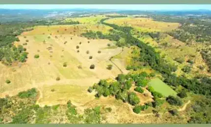 Fazenda 46 Alqueires  Dupla Aptdão Anápolis- GO 15 km do Daia 03 km de estrada de chão 21 alqueires Planta 75 há  Argila 28% Toda cercada  Córrego Nas
