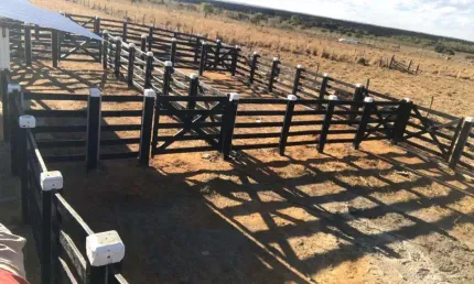 Fazenda 1041 Hectares Buriti Queimado são 4 escrituras. Distante 45 km de Arinos (10 km asfalto) 300 de Brasília  200 de Unai 290 de João Pinheiro.  1
