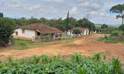 Fazenda de Café 60 Alqueires Contendo 550 mil Pés de café Planta mais 100 mil Pés Terra Roxa da Melhor Qualidade Lavouras de 5 e 10 anos 5 casas e Inf