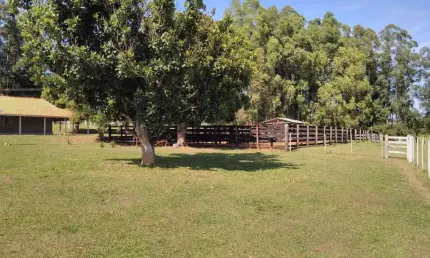 Fazenda 47 Alqueires  90% de Aproveitamento  Terra Mista de Cultura Formada em Pasto   03 nascentes e 2 Represas  Cerca toda nova com arame paraguaio
