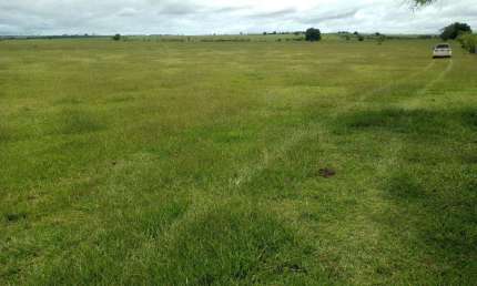 Fazenda 250 Alqueires Área para Plantio de aproximadamente 240 Alqueires   Excelente Aproveitamento   Está em Pasto   Teor de Argila de 18% a 30%  Ric