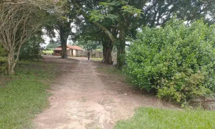 Sitio 20 Alqueires 1 Km do Asfalto, Casa sede, casas de caseiro, água da Sabesp, açude grande e açude pequeno com nascentes próprias, rio nos fundos,