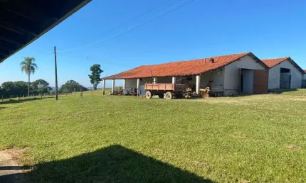 Fazenda 210 Hectares ou 87 Alqueires  Formada em Pasto 75 Alqueires em Pasto Restante Reserva e App  Boa Topografia Toda Tratoravel  Solo Misto  Benfe