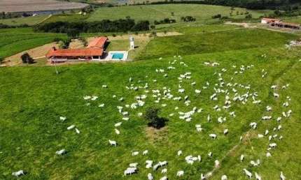 Fazenda 70 Alqueires, Formada em Pasto, Ótima Topografia, Solo Misto, Boa de Água, Represa, *Benfeitorias: Casa Sede com Piscina, Casa de Caseiro