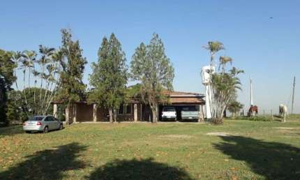 Fazenda 81,5 Alqueires, 56 Alqueires em Cana, Usina Grupo Zambianco 40 Toneladas 10 Alqueires em Grãos Restante Pasto, Reserva e App Terra Mista verme