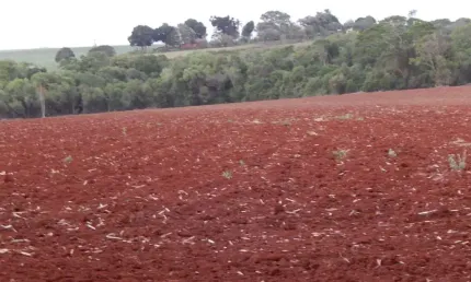Sitio 15,7 Alqueires ou 38 Hectares 10 alqueires Para Lavoura Restante Reserva e App Topografia Plana Terra vermelha Ribeirão na Divisa 2 Casas Simple
