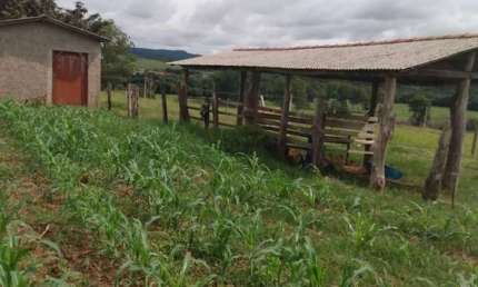 Chácara 1 Alqueire, Terra vermelha 100% plano e tratoravel Água da Sabesp e energia elétrica Poço caipira e Rio aos fundos Casa pequena com garagem