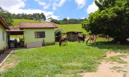 Sítio 10 Alqueires Ótima área para Gado, Eucalipto ou Pinus Casa Sede boa e galpão simples Boa de água, córrego e Nascentes  Formada em pasto