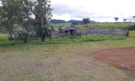 Fazenda 402 Alqueires  - Sendo 140 Alqueires em Plantio de Grãos (Planta mais 40 Alqueires)   - 20% Reserva e App  - Restante todo em Pasto   - Solo
