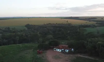 Fazenda 161 Alqueires, 12 Kms de Estrada de Chão, 105 Alqueires Plantado e Falta 35 Alqueires pra Plantar, Pagamento em 3X Entrada+2X