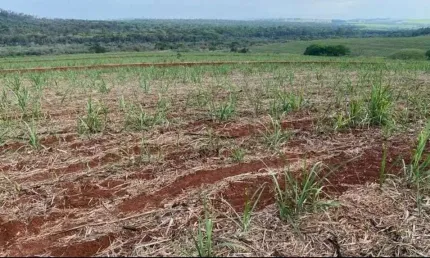 FAZENDA COM CANA A VENDA NA REGIÃO DE SÃO CARLOS-SP ??   Área Total 67 Alqueires   53 Alqueires em Cana  Usina Raízen  53 Toneladas /Alqueires  Contrato até 2027  Topografia Plana e levemente Ondulada