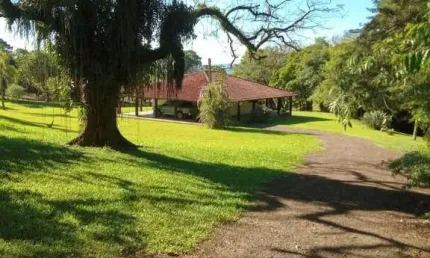 Fazenda Ortigueira 150 Alqueires, 90 pasto,10 Soja,1 Sede,1 Casa Caseiro,1 Mangueira gado de corte,1 Mangueira Leite,22 Tanques,1 Pedreira Basalto