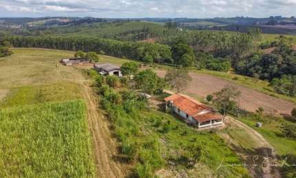 Sítio 10 Alqueires, Porteira Fechada, Dois Trator, 40 Cabeça de Búfalo, 2 Casas, 1 Barracão, Três Estufas, Rico em Água com Lago, Ótima Localização
