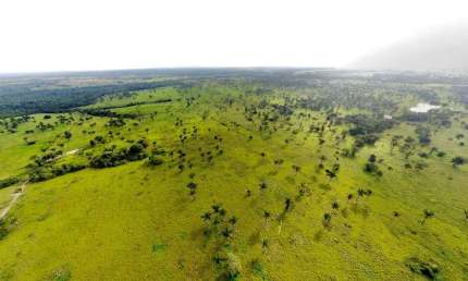 Fazenda 335 Alqueires, 260 Alqueires em Pasto, 900 Hectares Podendo Plantar, 100% Plana, Rica em Água, Casa Sede, Curral, Ótima Localização