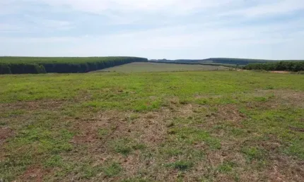FAZENDA A VENDA NA REGIÃO DE BAURU-SP ??   - Área Total de 71 Alqueires ou 171,82 Hectares   - 62 Alqueires ou 151 Hectares em Plantio de Grãos   -