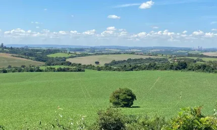 Fazenda 100 Alqueires, 80 Alqueires em Área Para Plantio, Topografia Plana, Terra Mista, Sem Benfeitorias, Proximo ao Asfalto, Ótima Localização