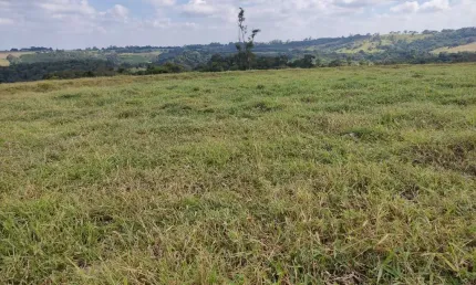Fazenda 42 Alqueires, Rica em Água com Açudes e Ribeirão, Terra Mista a Vermelha, Topografia Ondulada a Plana, Casa Sede e Caseiro, Galpão, Pasto