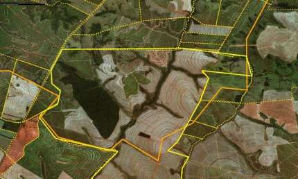 Fazenda 1231 Alqueires, 800 Alqueires em Cana, 100 Alqueires em Pasto, Ótima Topografia, Terra Vermelha, Rica em Água, Boa em Benfeitorias