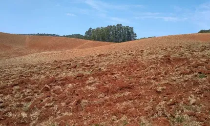 Sítio 32 Alqueires, 26,6 Alqueires Limpos, 18 Alqueires Arrendado em Tomate e Cereais, Terra Vermelha, Rico em Água com 4 Açudes e 6 Nascentes, 2 Casa