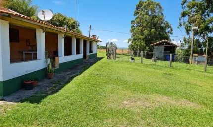 Sítio 10 Alqueires, Acesso Asfaltado, 1 Casa Sede 500m2, 2 Casas Caseiro, 3 Barracões de Granja, 10 Mil pés de Eucalipto, Poços Artesianos