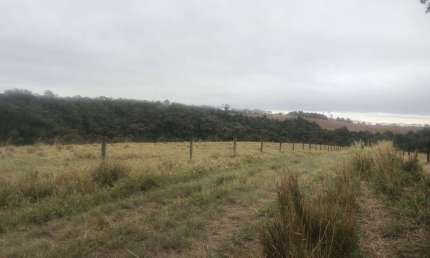 Fazenda 59 Alqueires, Rico em Água com Córrego e Nascentes, Formada em Pasto na Pecuária, Terra Mista, Boa Topografia, Poço Artesiano, 3 Casas