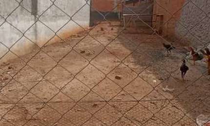 Terreno 150m2, Documentação OK, Ótima Localização, Pronto Para Construir