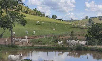 Fazenda 250 Hectares, Rica em Água com 15 Nascentes, 12 Divisões de Pasto, 50 Hectares Agricultáveis, Currais, Casas Caseiro, Casa Sede 220m2
