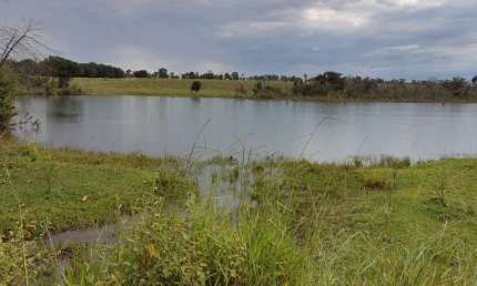 Fazenda 1134 Hectares, Rico em Água com Lago e Rio, 901 Hectares Para Plantio de Soja, 291 Hectares para Irrigação, Ótima Localização,Sem Benfeitorias