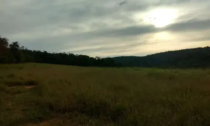 Sítio 11,75 Alqueires, 6 Alqueires Limpos e 5,75 Alqueires em Mata Nativa, Casa e Barracão, Terra Boa Para Cultivo ou Pasto, 2 Rios