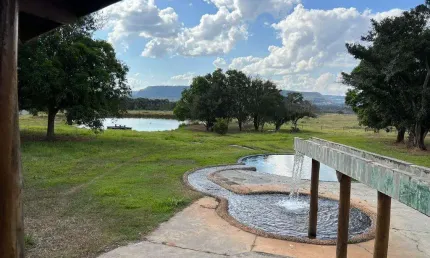 Fazenda 8728 Hectares, 6482 Hectares, Terra Mista Boa, Beira do Rio, Topografia Plana, Casa Sede, 6 Apartamentos, 4 Currais, Pista de Pouso
