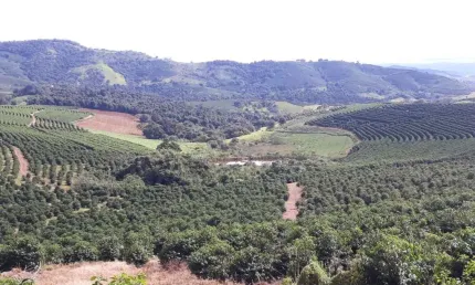 Fazenda 104 Alqueires, 28 Alqueires em Café, 3 Alqueires em Eucalipto, 50 Alqueires em Pastagem, Ótima Infraestrutura, Ótima Localização