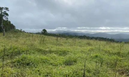 Fazenda 78 Alqueires, Rico em Água, Planta-se 40 Alqueires, Atualmente Esta Em Pasto, Ótima Localização