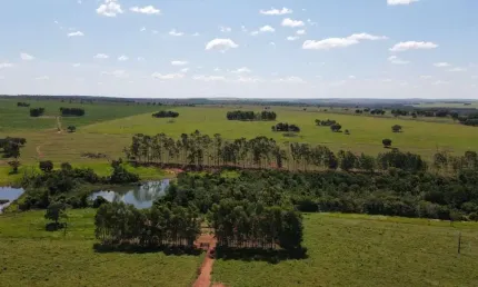Área 55 mil m2, ideal para condomínio logístico ou industrias, rico em água com lago, casa sede simples, fácil acesso, beira do asfalto