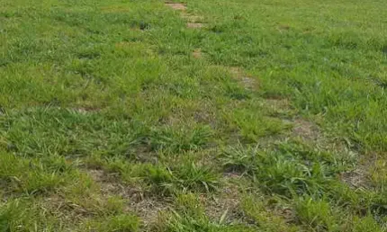 Solar das esmeraldas condomínio fechado terreno 300m2 plano bem localizado no condomínio,portaria 24 horas, quadra gramada, quadra de tênis em saibro,