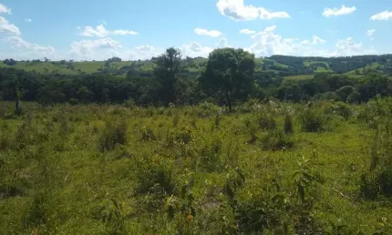 Sítio 9,5 Alqueires, 7 Alqueires em Pasto, Boa para Plantio ou Pecuária, Boa de Água com Ribeirão na Divisa, Sem Benfeitorias