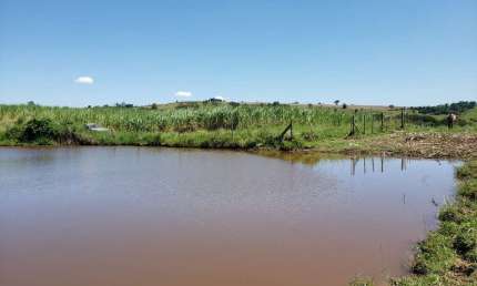 Chácara 23 Alqueires, Topografia Plana, Rica em Água, 80% Aproveitável, Terra Mista, Ótima Localização, Sem Benfeitorias