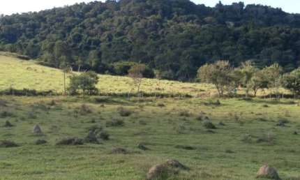 Fazenda 125 Alqueires, Rica em Água com Varias Nascentes, Represa e Rio, Casa Sede, 2 Casas Caseiro, Curral, Rancho, Ótima Localização